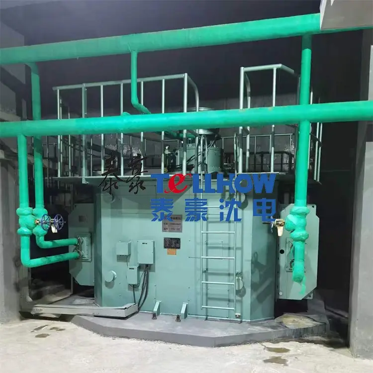 Крупные синхронные вертикальные двигатели TL/TLKS, используемые в гидротехнических сооружениях и насосных станциях. Крупные синхронные вертикальные двигатели TL/TLKS, используемые в гидротехнических сооружениях и насосных станциях.