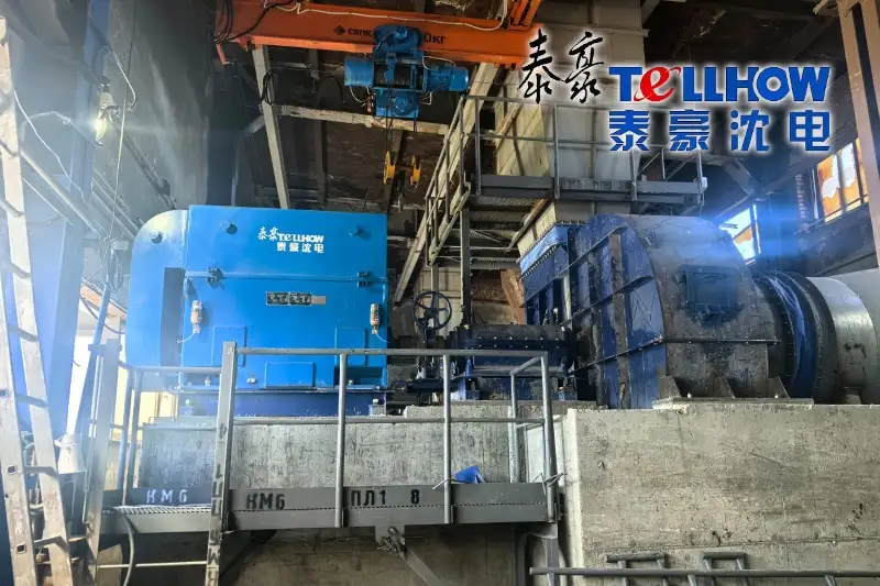 Специальные электродвигатели Tellhow Shenyang Electric Machine Co., Ltd. обеспечивают круглогодичную непрерывную и надежную работу на крупном российском сталелитейном проекте, получая высокую оценку зарубежного заказчика