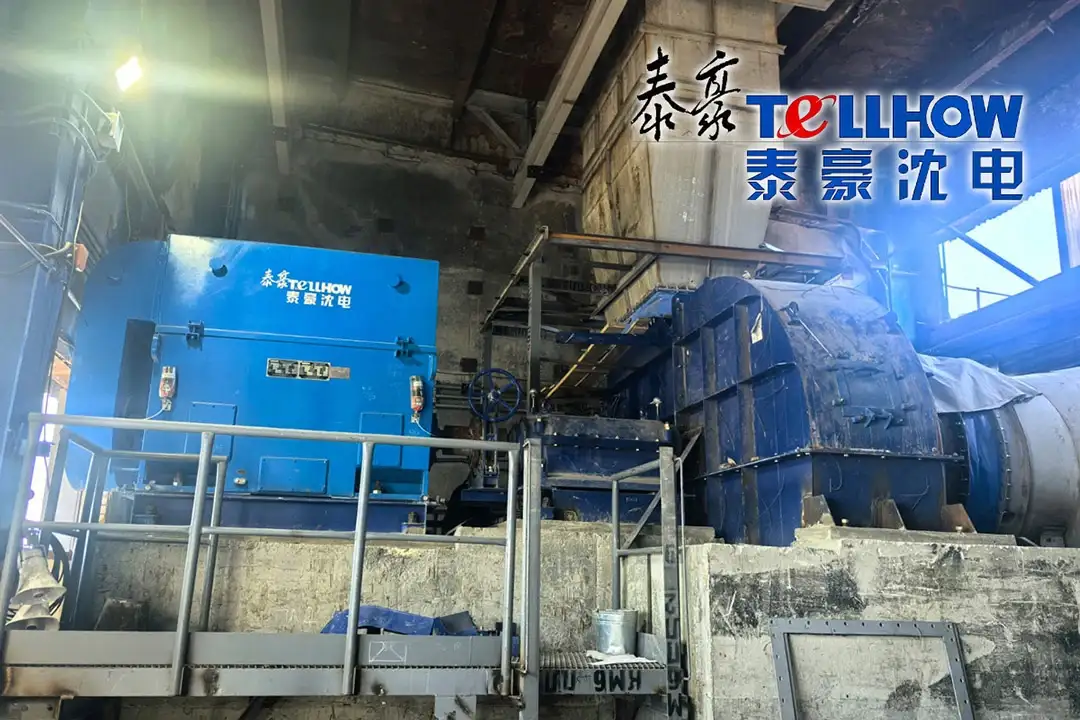 Специальные электродвигатели Tellhow Shenyang Electric Machine Co., Ltd. обеспечивают круглогодичную непрерывную и надежную работу на крупном российском сталелитейном проекте, получая высокую оценку зарубежного заказчика
