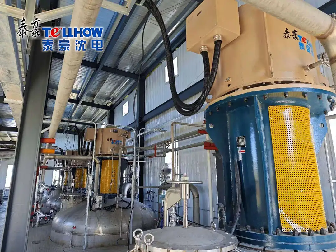 Продукция компании Taihao Shenyang Electric (Shenyang Jintai Permanent Magnet Technology) получила высокую оценку за обеспечение эффективной работы крупного предприятия по переработке биомассы в Хоргосе в течение года