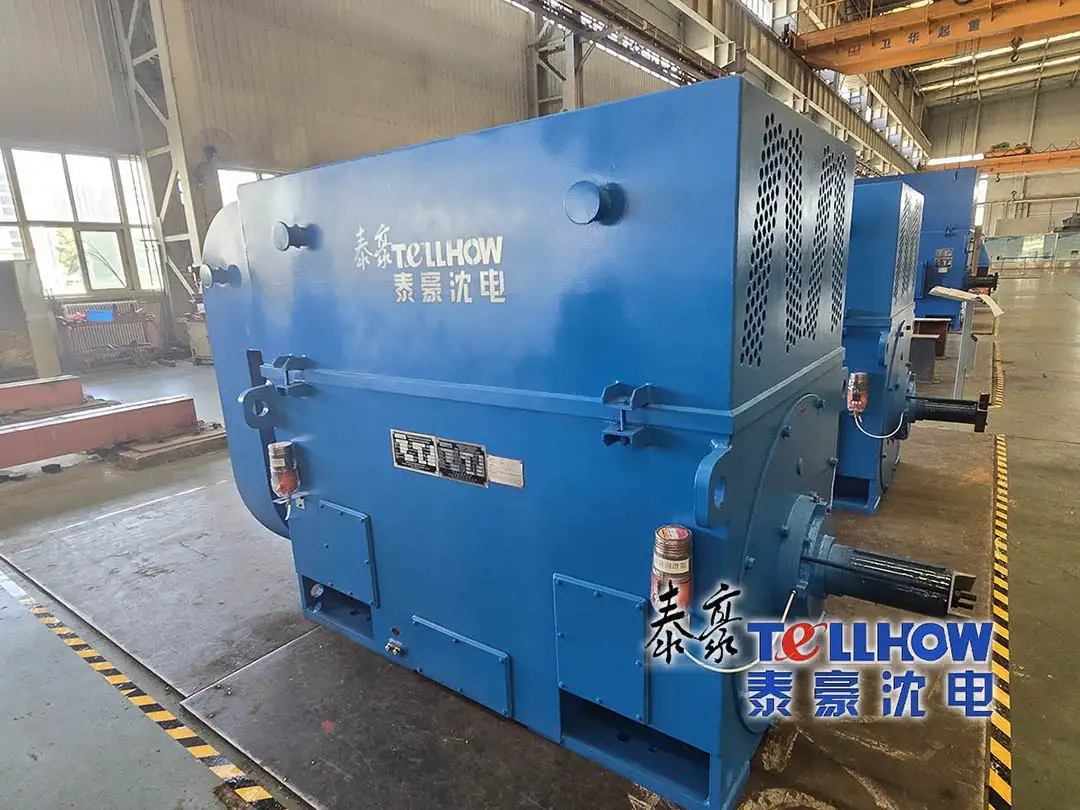 Специальные электродвигатели Tellhow Shenyang Electric Machine Co., Ltd. обеспечивают круглогодичную непрерывную и надежную работу на крупном российском сталелитейном проекте, получая высокую оценку зарубежного заказчика
