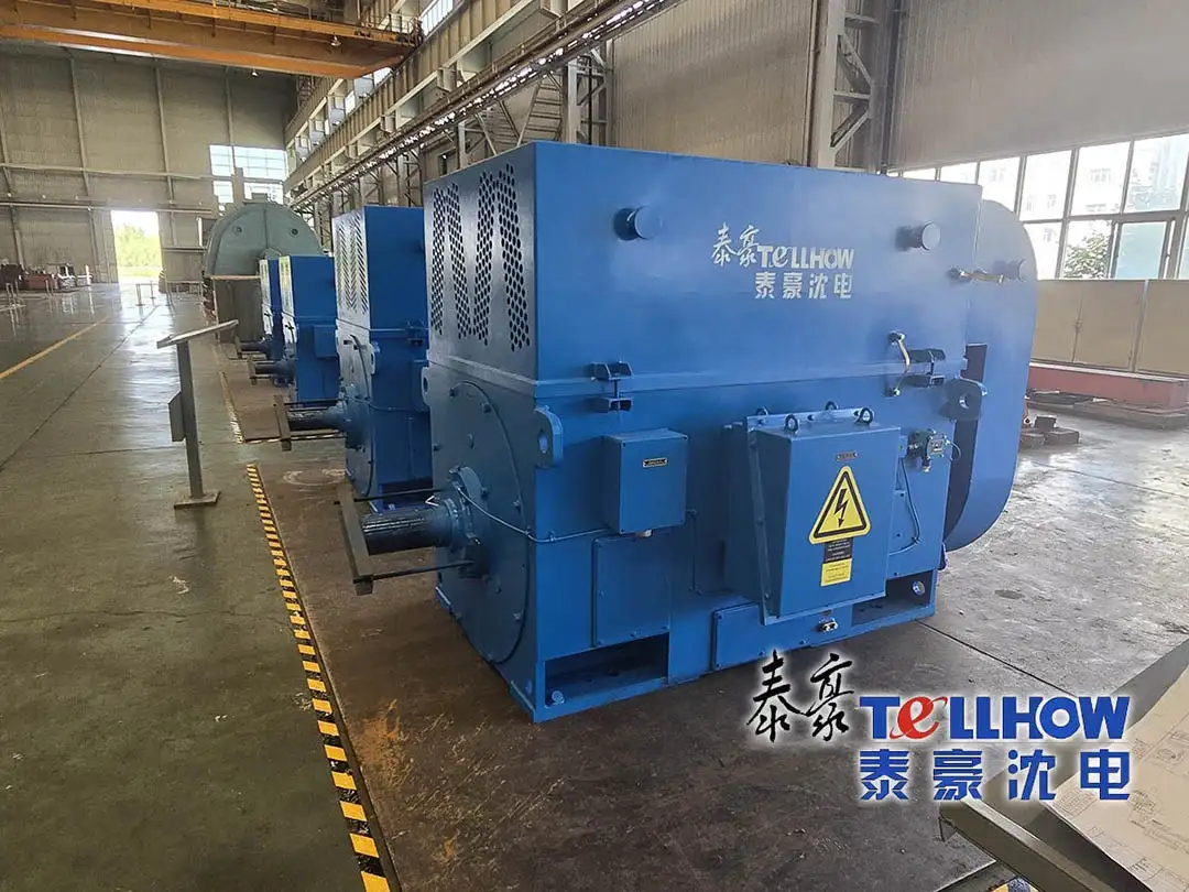 Специальные электродвигатели Tellhow Shenyang Electric Machine Co., Ltd. обеспечивают круглогодичную непрерывную и надежную работу на крупном российском сталелитейном проекте, получая высокую оценку зарубежного заказчика